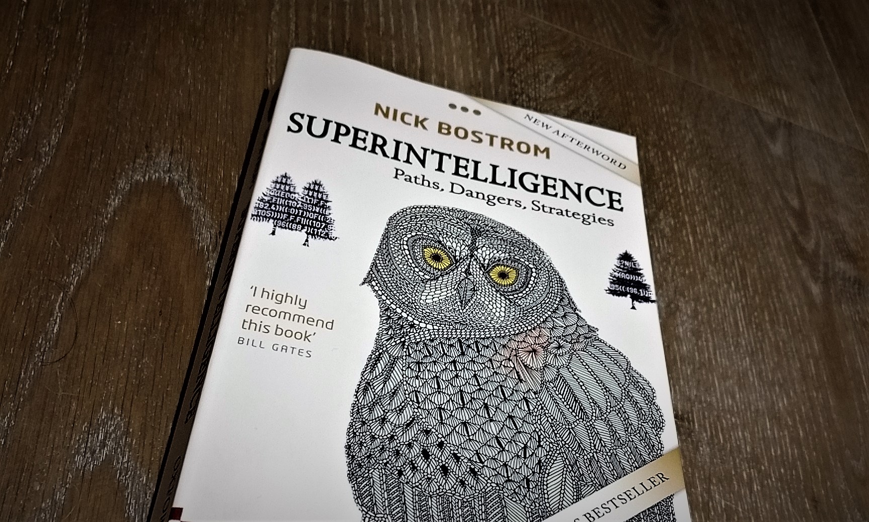 superintelligence paths